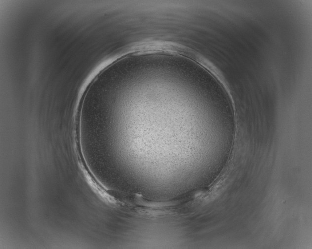 X0000081291152200701111352