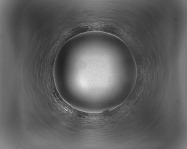 X0000081291153200701111351