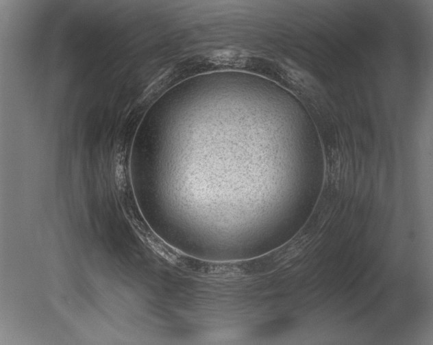 X0000081291154200701111351