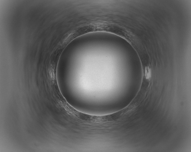 X0000081291155200701111351