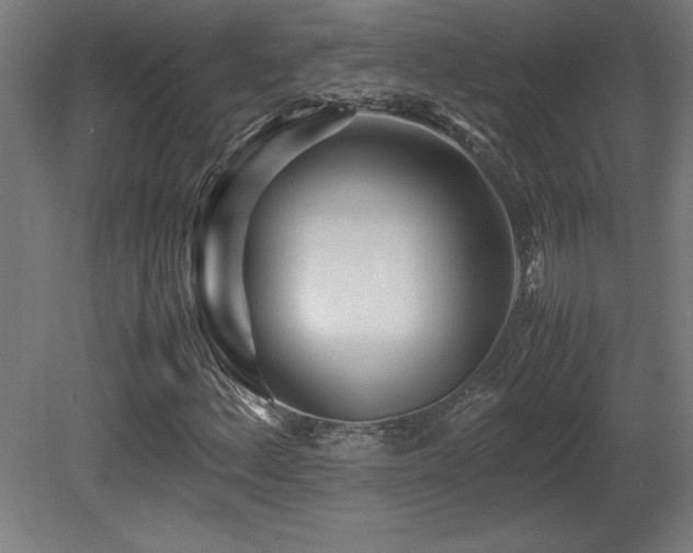 X0000081291156200701111351