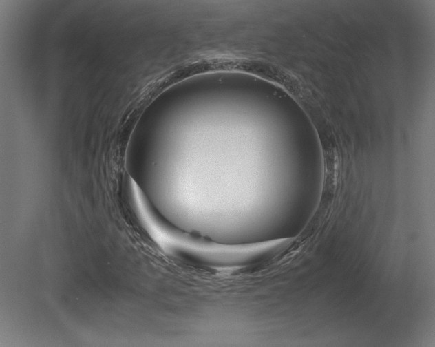 X0000081291157200701111351