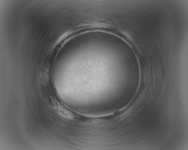 X0000081291163200701111351
