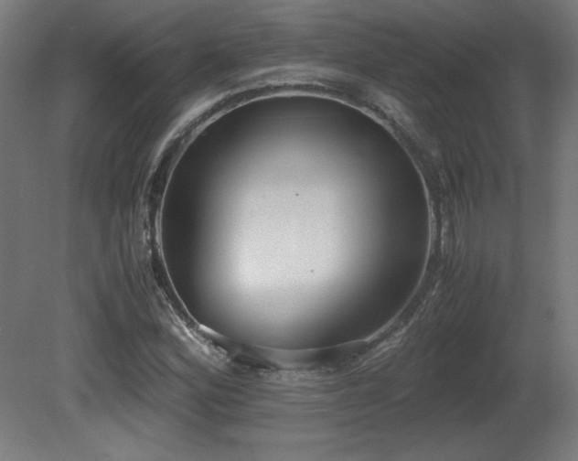 X0000081291164200701111351