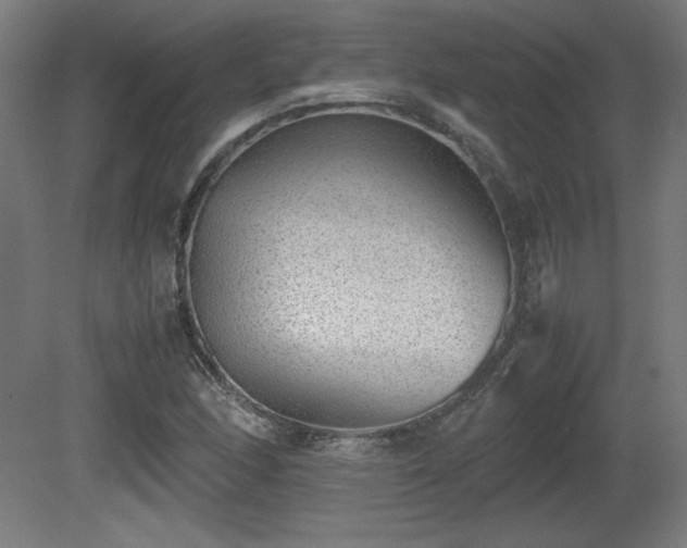 X0000081291166200701111351