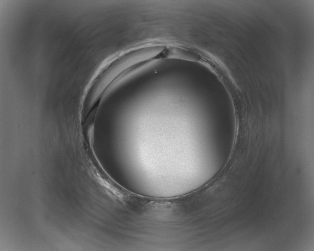 X0000081291168200701111351