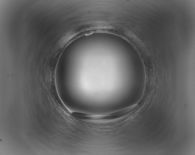 X0000081291169200701111351