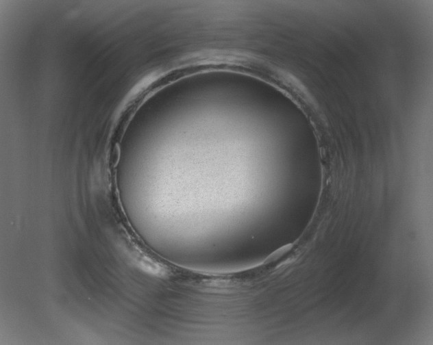 X0000081291172200701111351