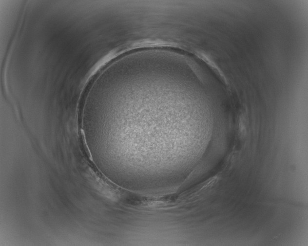 X0000081291173200701111351