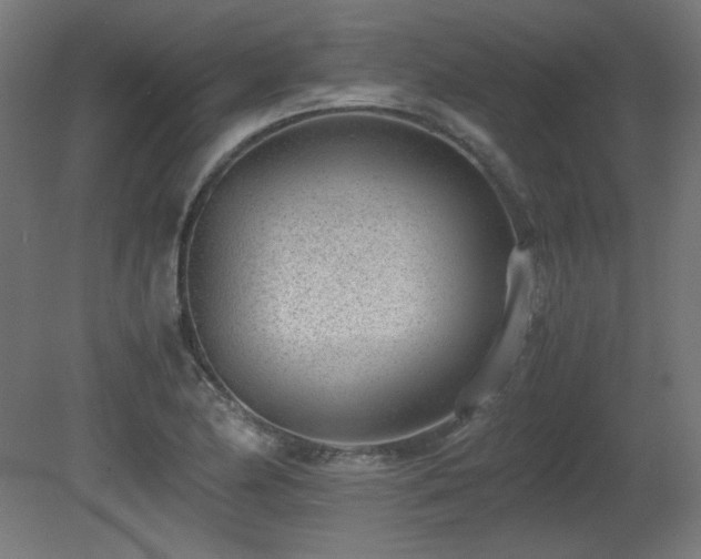 X0000081291174200701111351