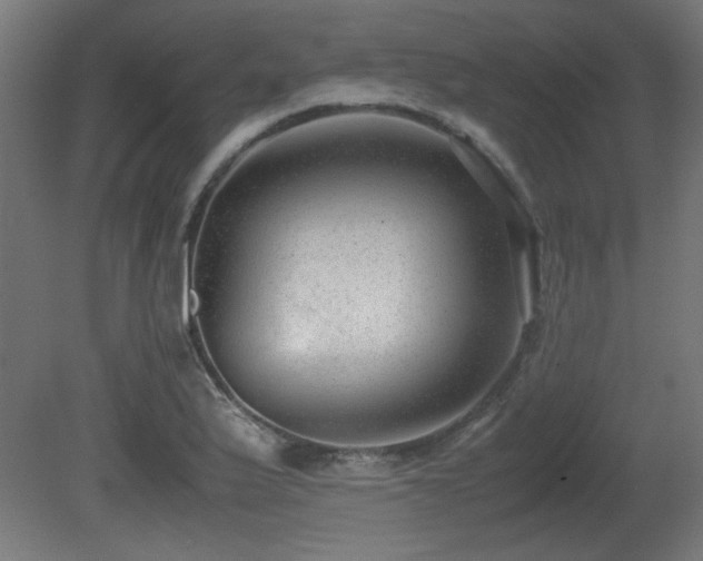 X0000081291175200701111351