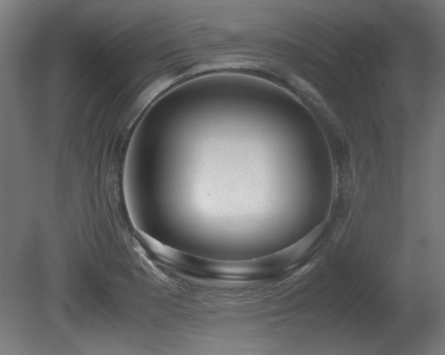 X0000081291177200701111351