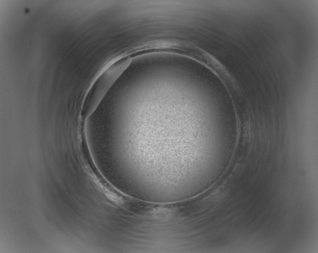 X0000081291178200701111351