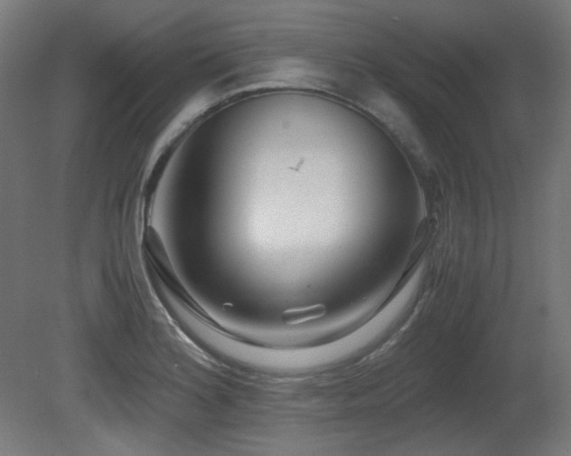 X0000081291180200701111351