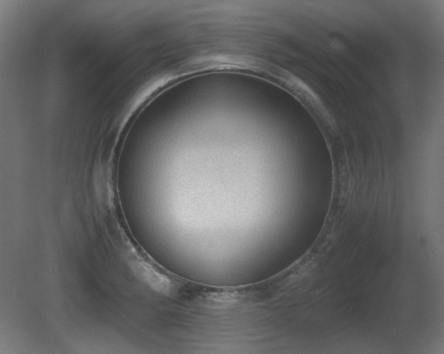 X0000081291182200701111350