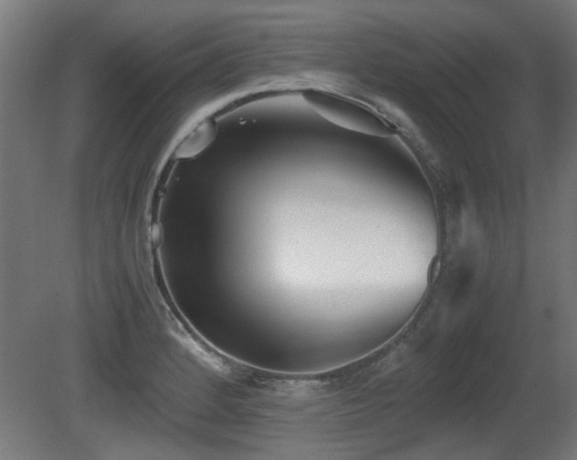 X0000081291184200701111350