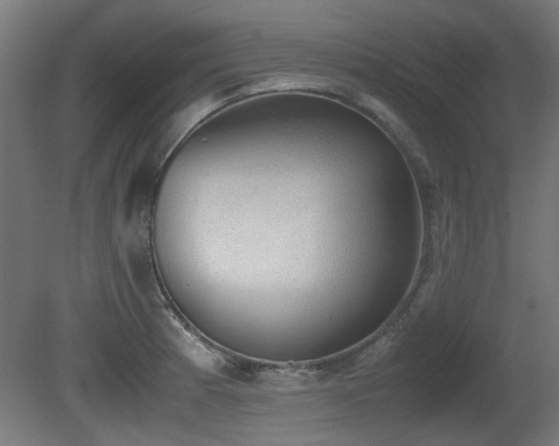 X0000081291185200701111350