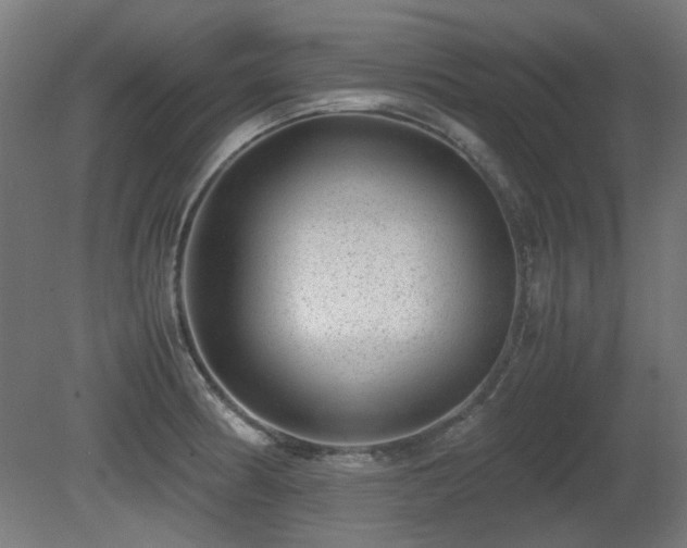 X0000081291186200701111350