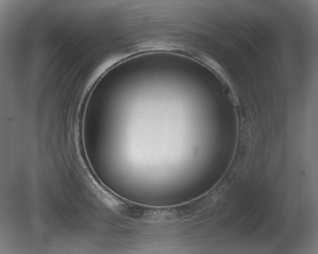 X0000081291187200701111350