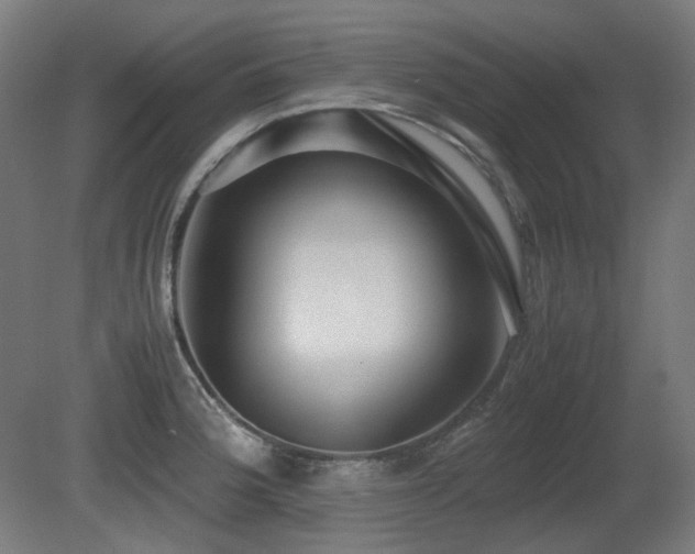 X0000081291188200701111350