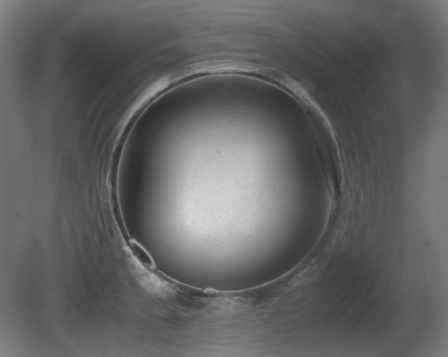 X0000081291189200701111350