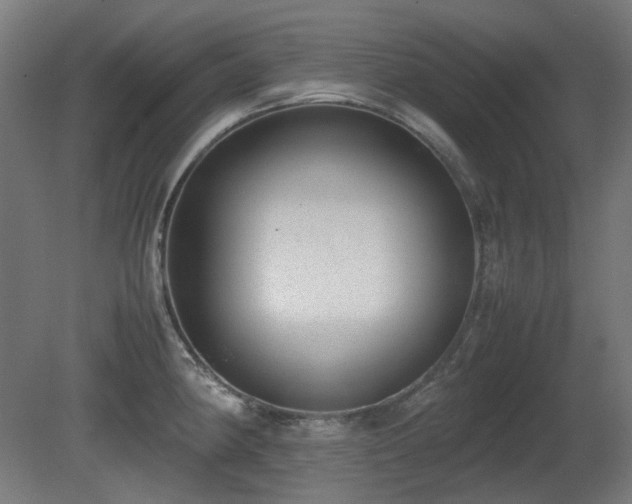 X0000081291190200701111350
