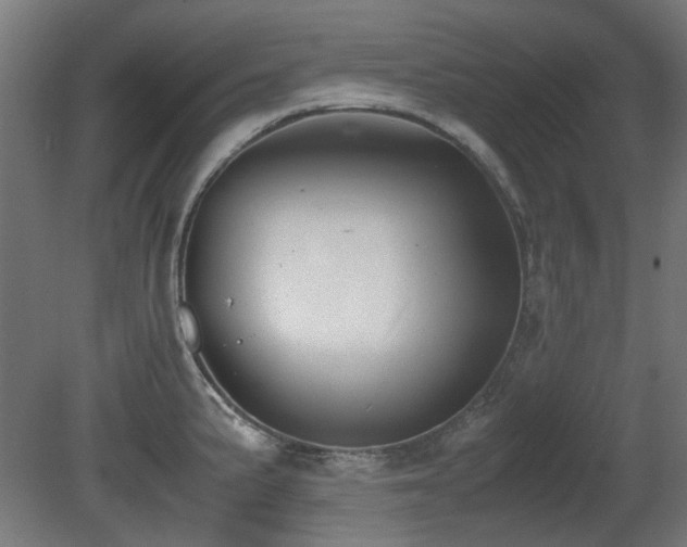 X0000081291191200701111350