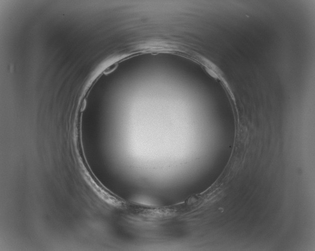 X0000081291195200701111350