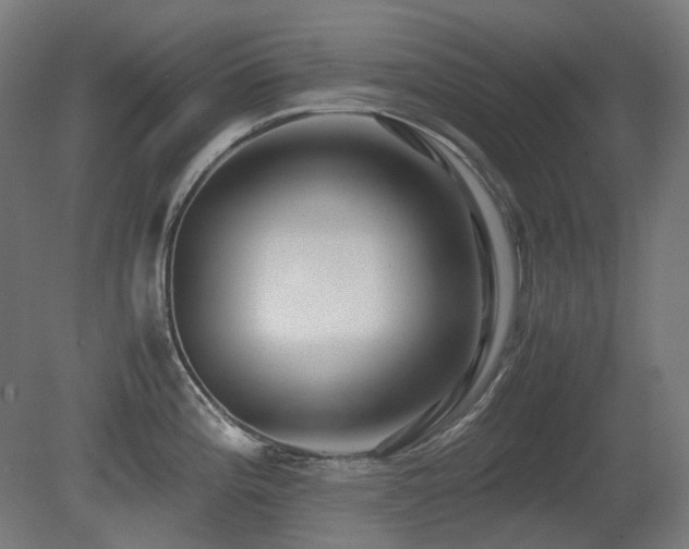 X0000081291196200701111350