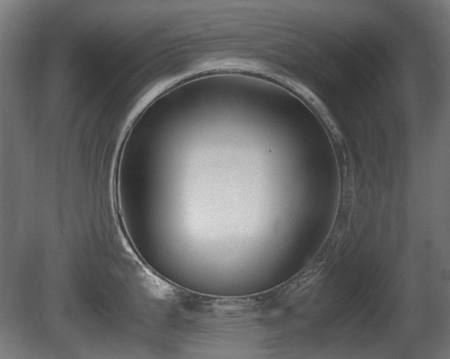 X0000081291199200701111350