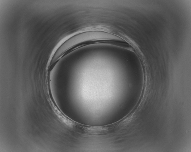 X0000081291200200701111350