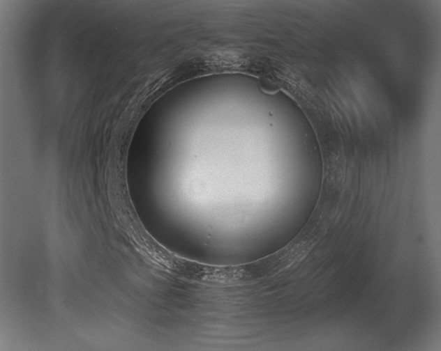 X0000081291201200701111349