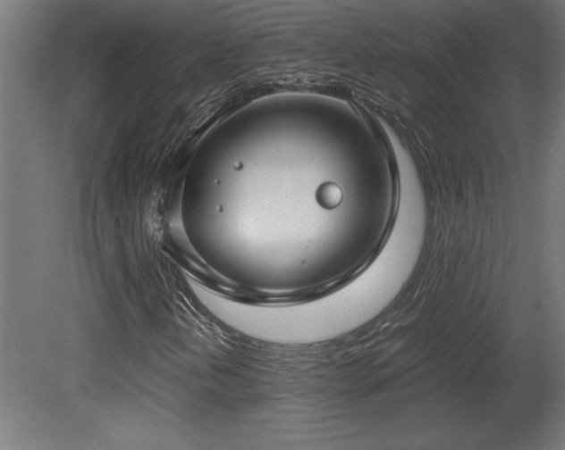 X0000081291202200701111349