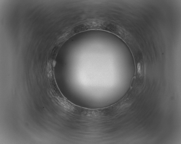 X0000081291203200701111349