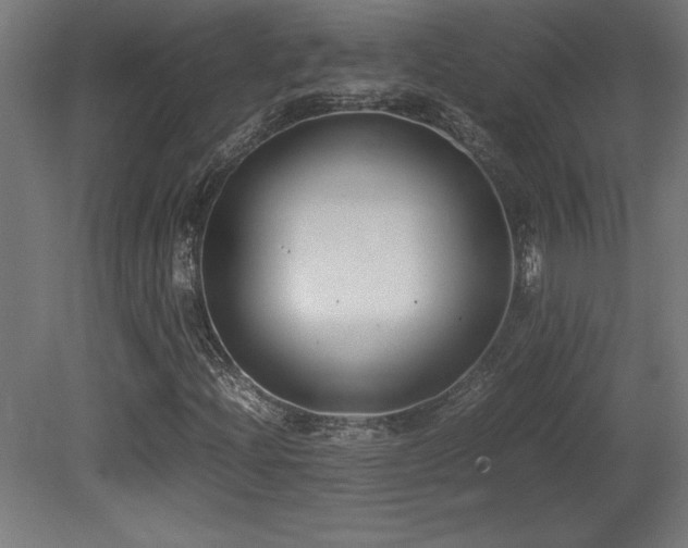 X0000081291204200701111349