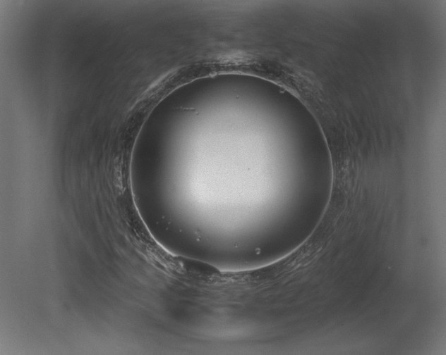 X0000081291205200701111349