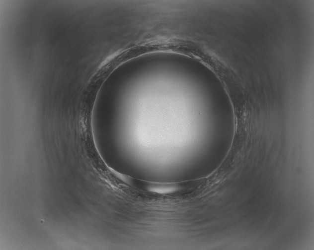 X0000081291206200701111349