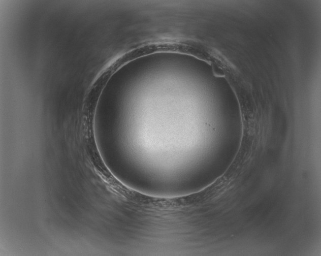 X0000081291208200701111349