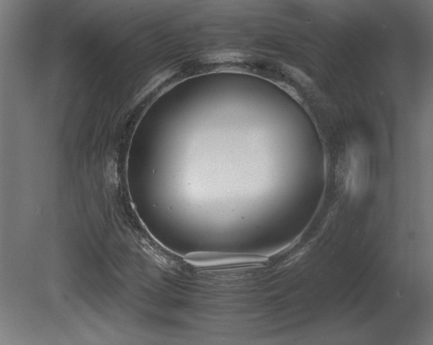 X0000081291209200701111349