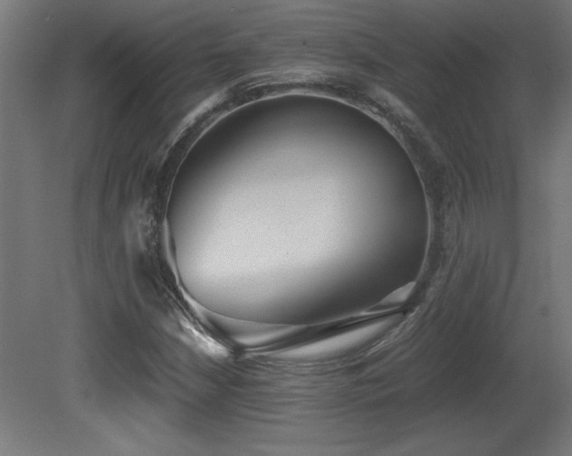 X0000081291210200701111350