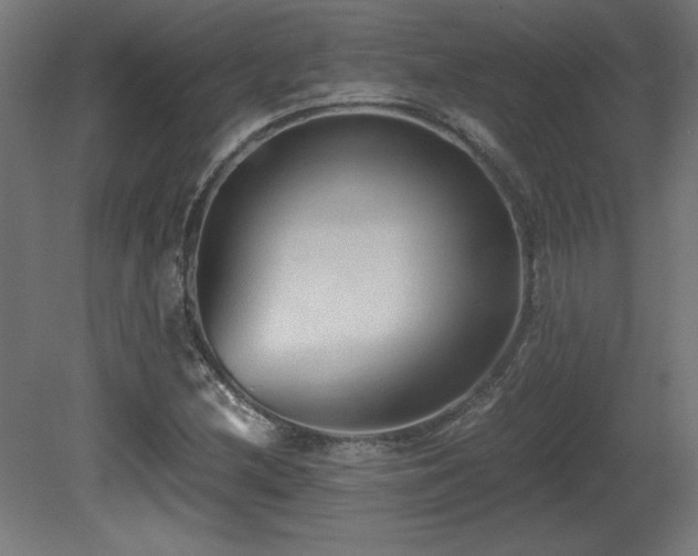 X0000081291212200701111350