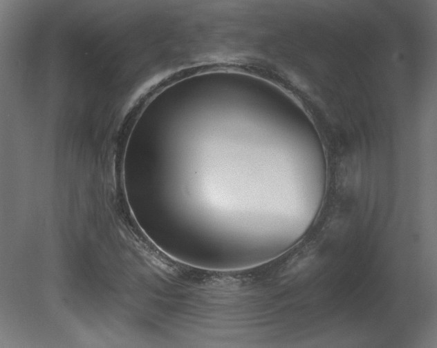X0000081291214200701111350