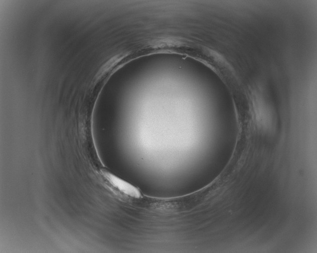 X0000081291217200701111350