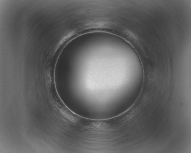X0000081291218200701111350