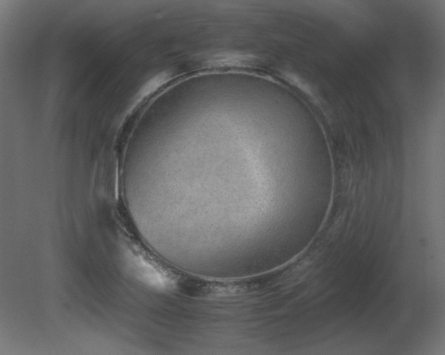 X0000081291219200701111350