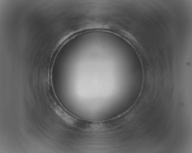 X0000081291220200701111350