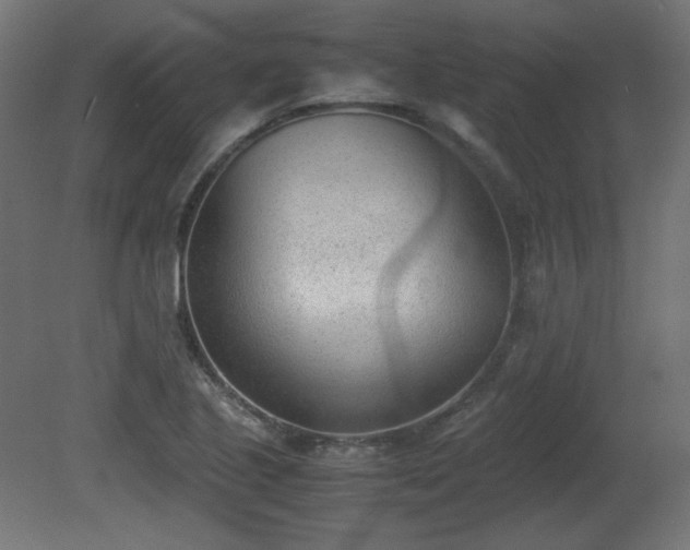 X0000081291221200701111350