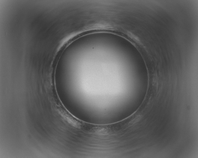X0000081291222200701111350