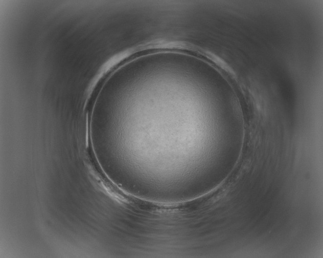 X0000081291223200701111350