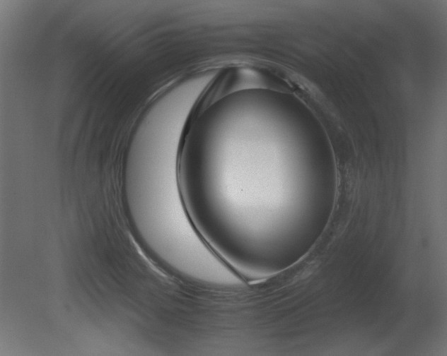 X0000081291225200701111350